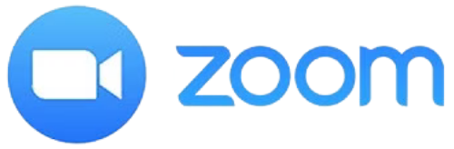 zoom logo graphic